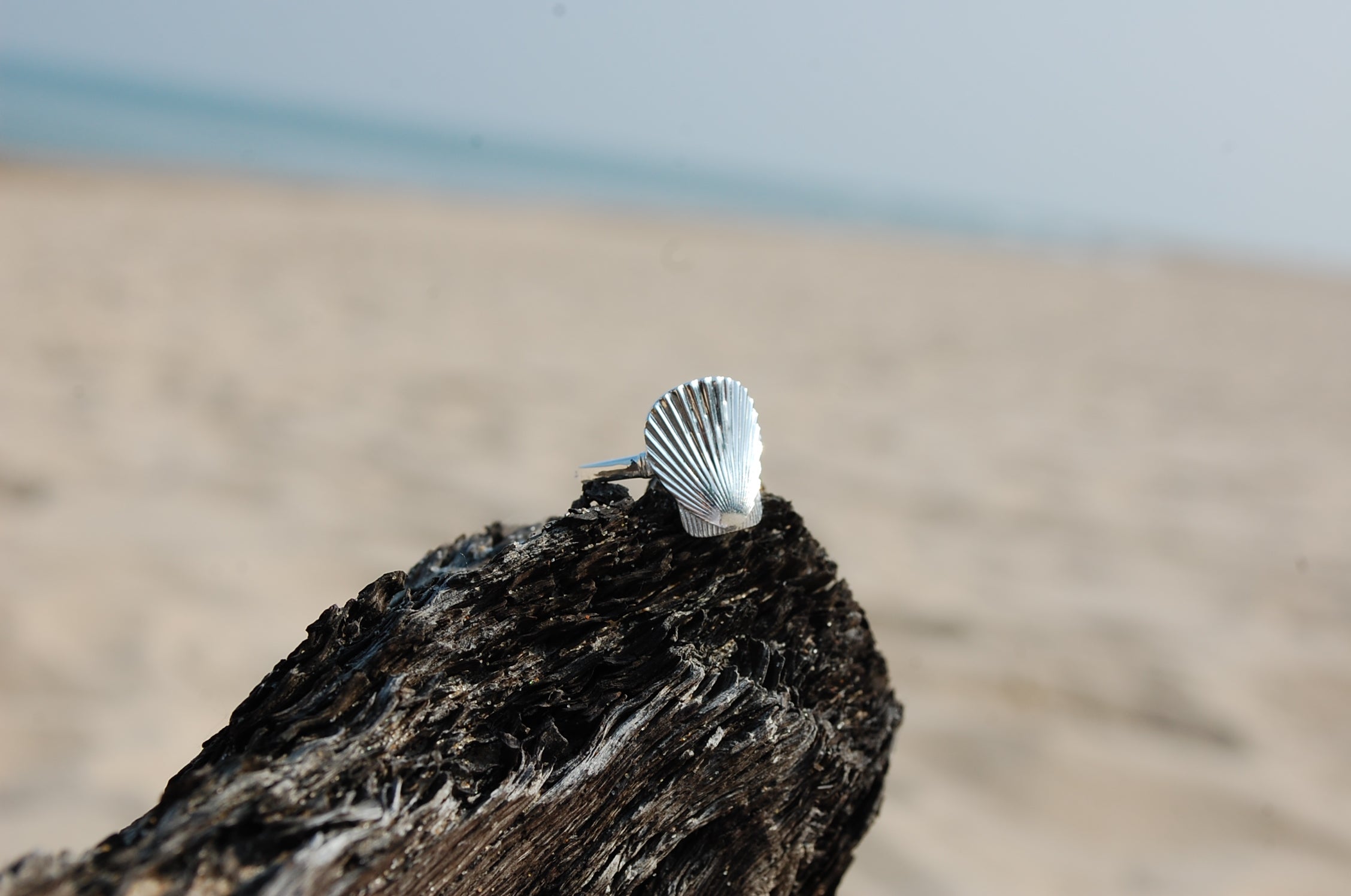 lucky seashell ring silver