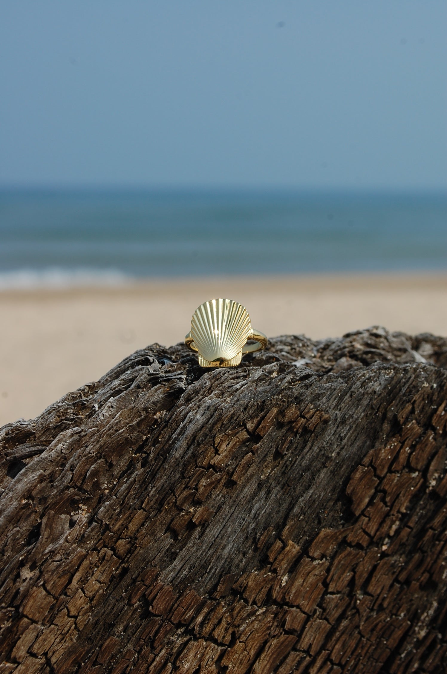 lucky seashell ring gold