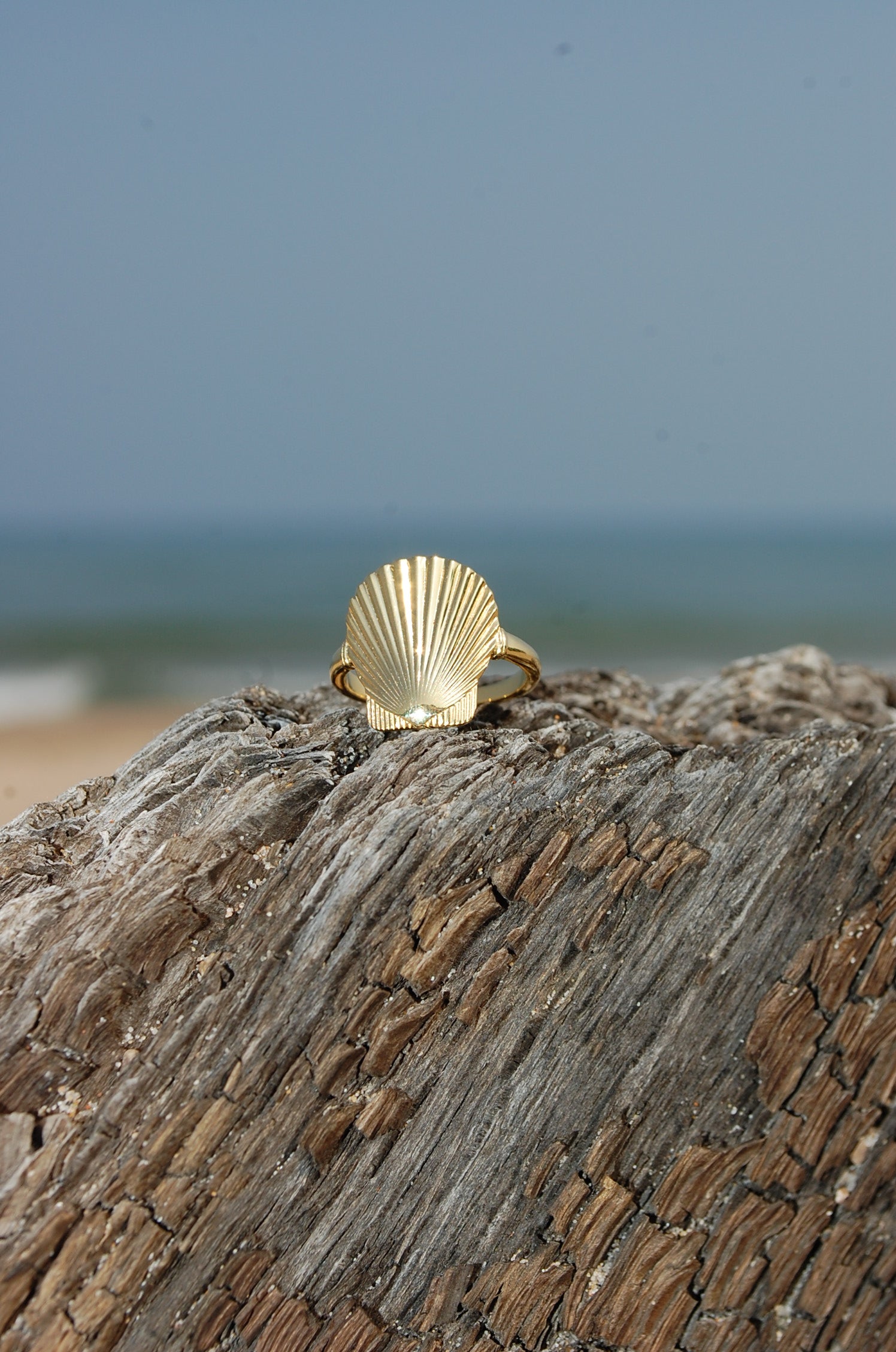 lucky seashell ring