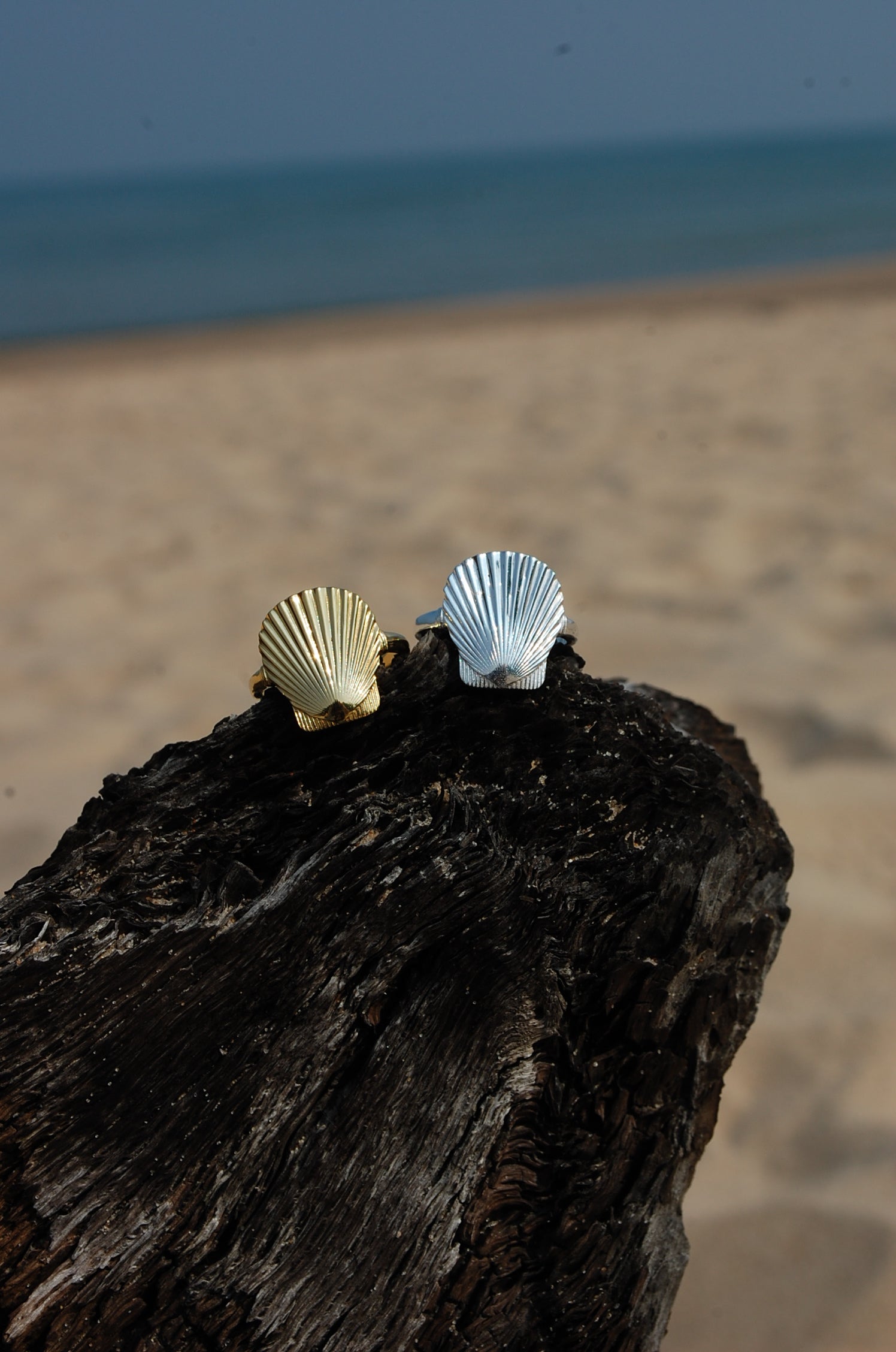lucky seashell ring