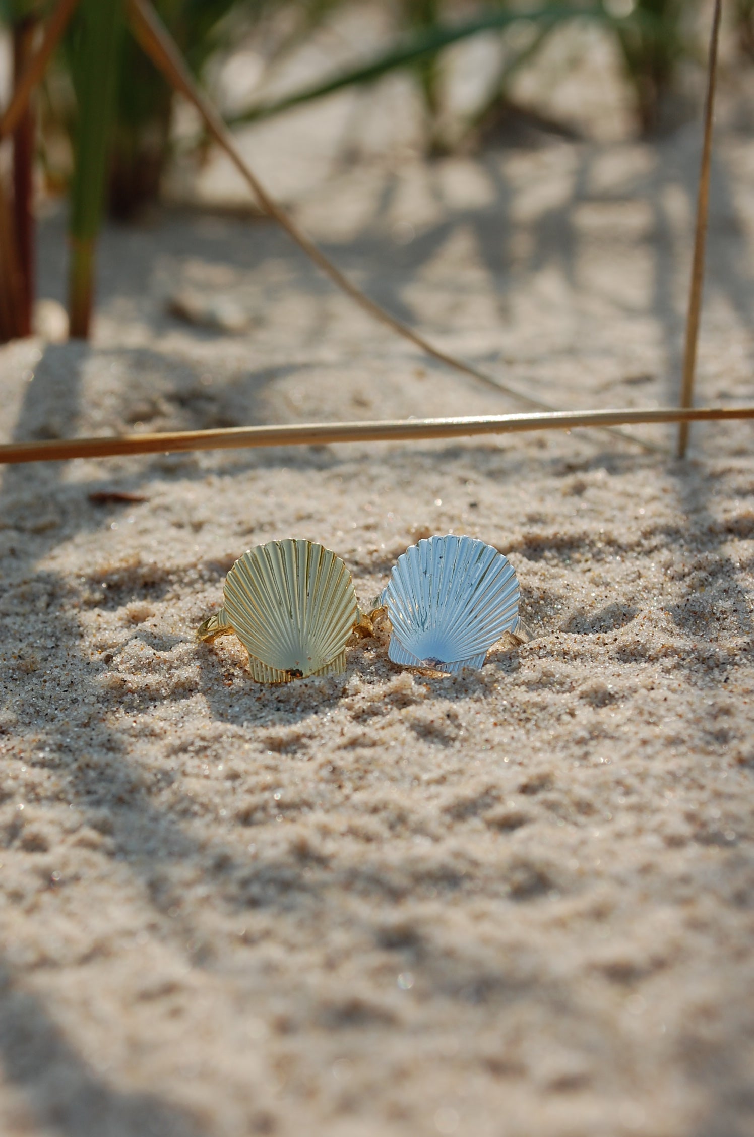 lucky seashell ring