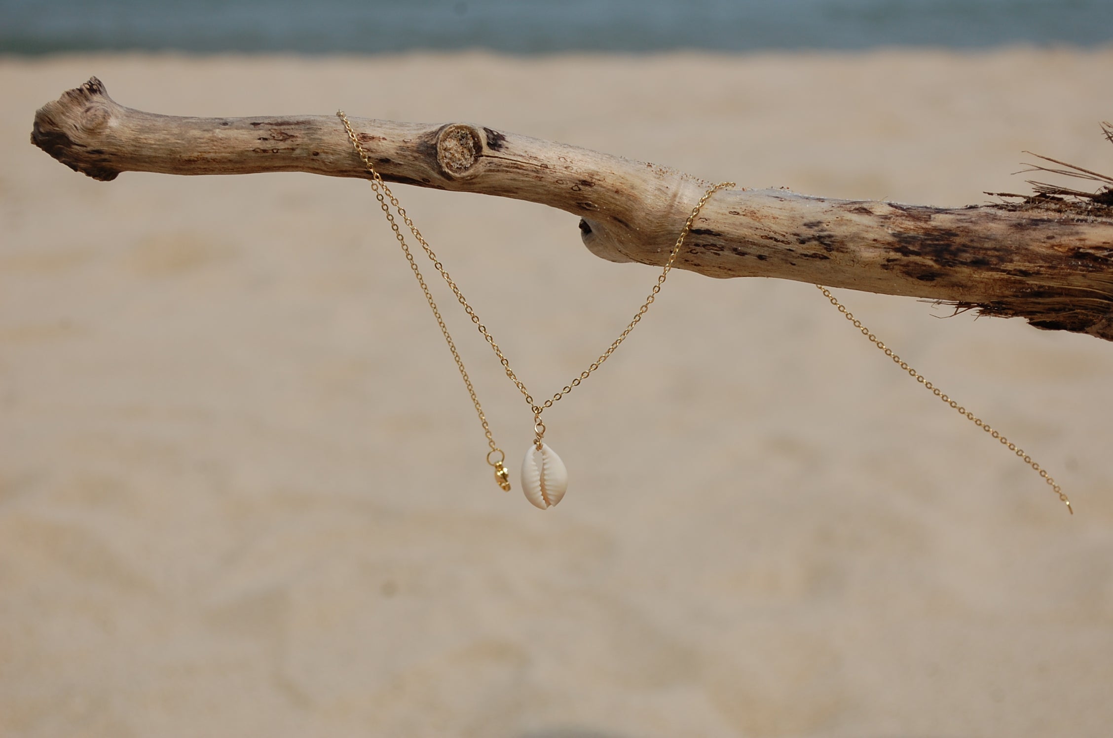 cowrie necklace