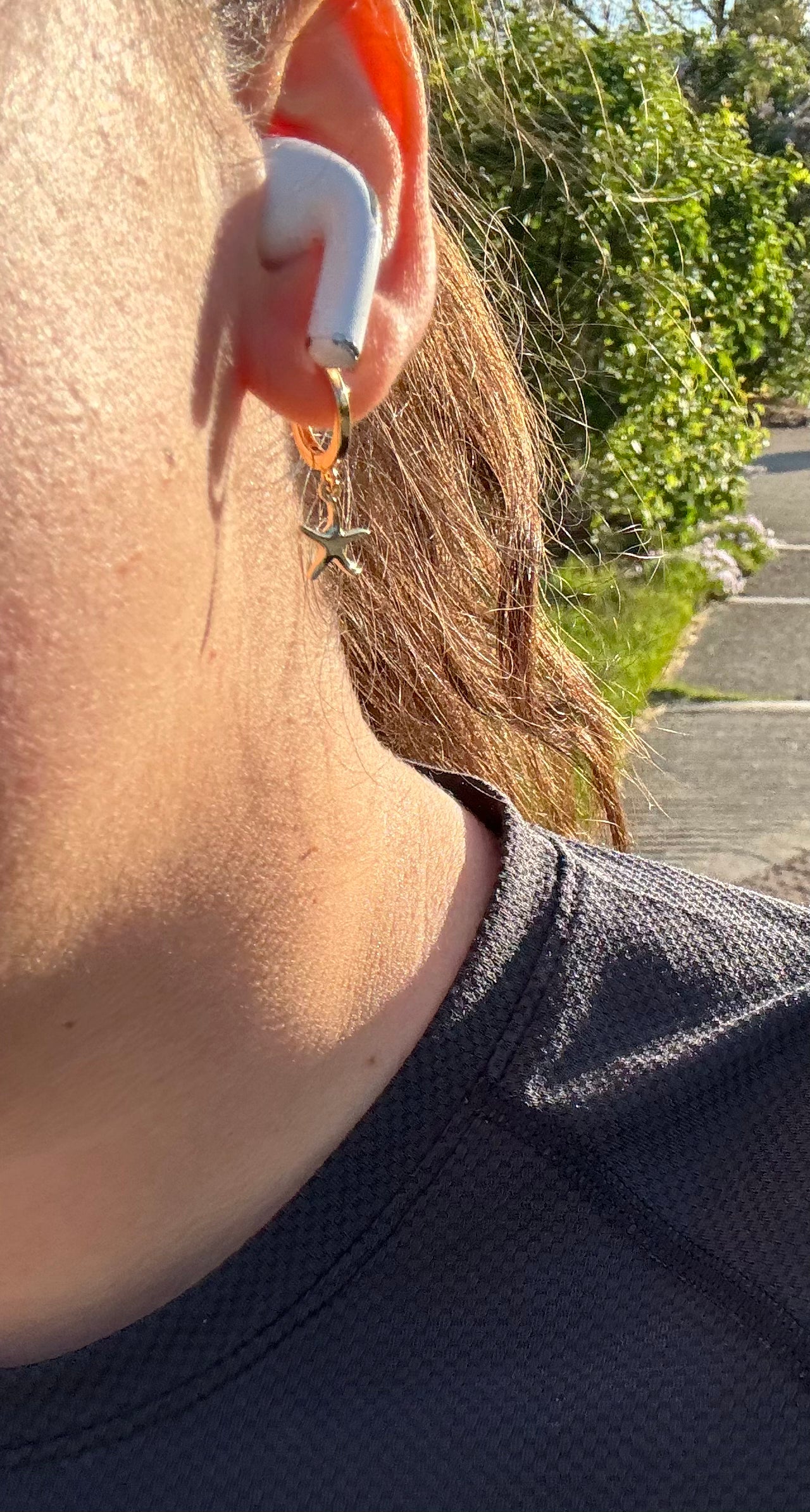 baby starfish earrings